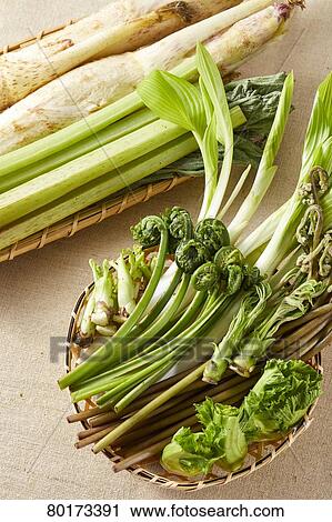 Edible wild plants View Large Photo Image Stock Image - Edible wild plants. Fotosearch