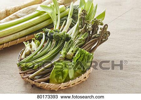 Stock Image - Edible wild plants. Fotosearch