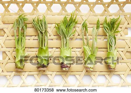 Edible wild plants View Large Photo Image Stock Photo - Edible wild plants. Fotosearch