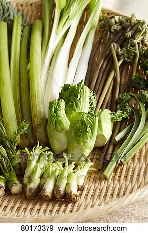 Edible wild plants View Large Photo Image Stock Photo - Edible wild plants. Fotosearch