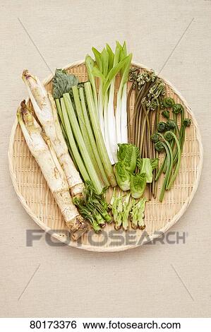 Edible wild plants View Large Photo Image Stock Photograph - Edible wild plants. Fotosearch