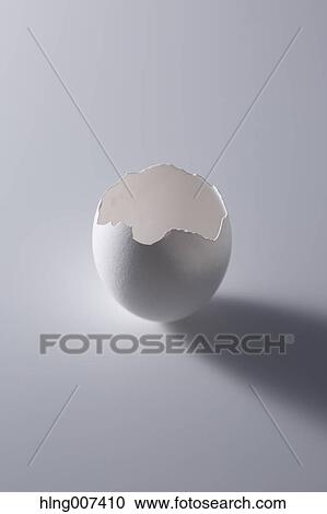 Egg shell View Large Photo Image Stock Image - Egg shell. Fotosearch