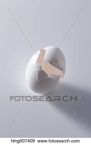 Egg shell View Large Photo Image Stock Photo - Egg shell. Fotosearch