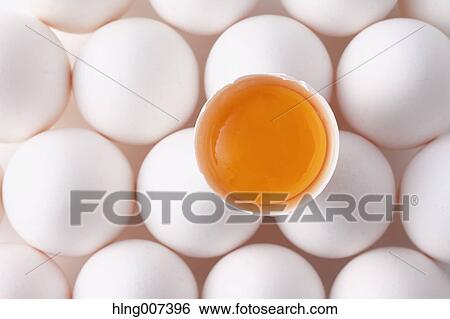 Stock Photograph - Eggs. Fotosearch
