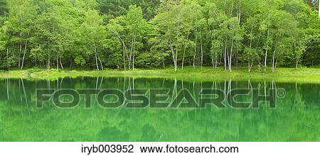 Grassland reflections on a lake, Nagano Prefecture, Japan View Large Photo Image Stock Image - Grassland reflections on a lake, Nagano Prefecture, Japan. Fotosearch