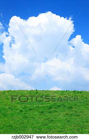 Green field, Hokkaido, Japan View Large Photo Image Stock Photo - Green field, Hokkaido, Japan. Fotosearch