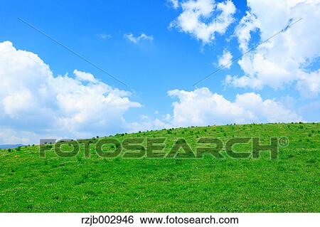 Green field, Hokkaido, Japan View Large Photo Image Stock Photograph - Green field, Hokkaido, Japan. Fotosearch