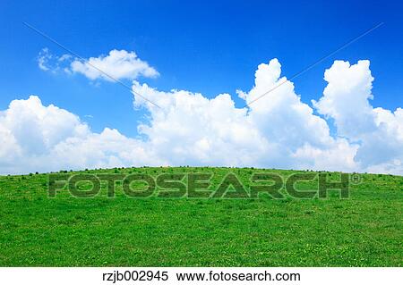 Stock Photography - Green field, Hokkaido, Japan. Fotosearch