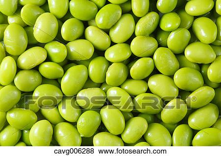 Stock Photo - Green soybeans. Fotosearch