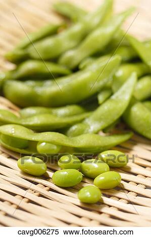 Stock Photography - Green soybeans. Fotosearch
