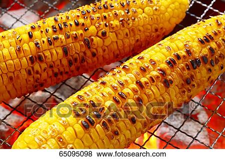Stock Photo - Grilled corn. Fotosearch