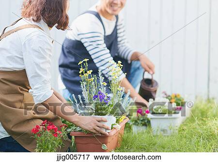 Japanese couple gardening View Large Photo Image Stock Photo - Japanese couple gardening. Fotosearch
