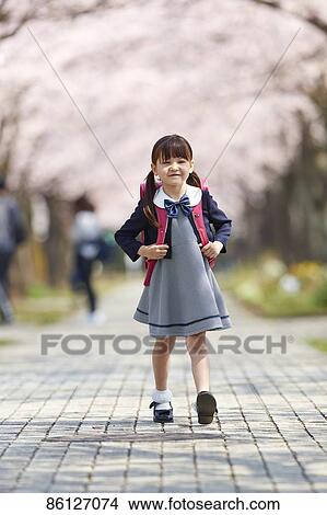 Picture - Japanese elementary schoolgirl and cherry blossoms. Fotosearch