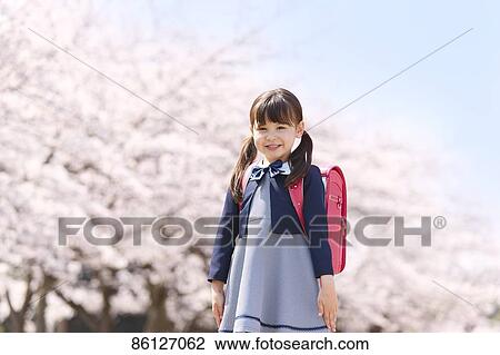 Japanese elementary schoolgirl and cherry blossoms View Large Photo Image Stock Image - Japanese elementary schoolgirl and cherry blossoms. Fotosearch
