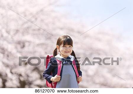 Japanese elementary schoolgirl and cherry blossoms View Large Photo Image Stock Image - Japanese elementary schoolgirl and cherry blossoms. Fotosearch