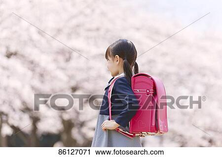 Stock Image - Japanese elementary schoolgirl and cherry blossoms. Fotosearch