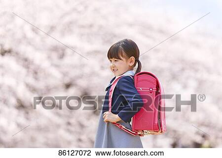 Japanese elementary schoolgirl and cherry blossoms View Large Photo Image Stock Image - Japanese elementary schoolgirl and cherry blossoms. Fotosearch