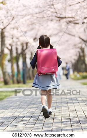 Stock Image - Japanese elementary schoolgirl and cherry blossoms. Fotosearch