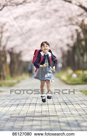 Stock Image - Japanese elementary schoolgirl and cherry blossoms. Fotosearch
