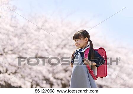Japanese elementary schoolgirl and cherry blossoms View Large Photo Image Stock Photo - Japanese elementary schoolgirl and cherry blossoms. Fotosearch