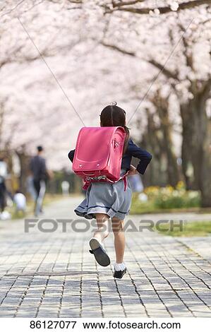 Stock Photo - Japanese elementary schoolgirl and cherry blossoms. Fotosearch