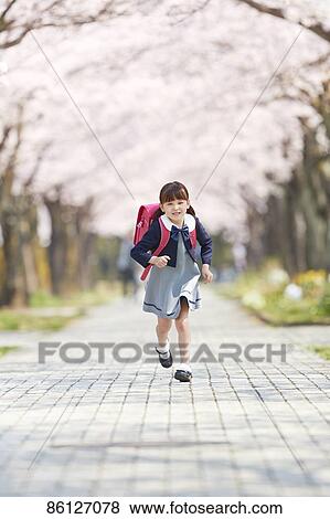 Stock Photo - Japanese elementary schoolgirl and cherry blossoms. Fotosearch