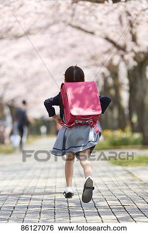 Stock Photograph - Japanese elementary schoolgirl and cherry blossoms. Fotosearch