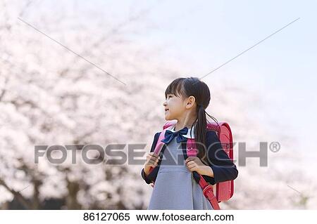 Stock Photography - Japanese elementary schoolgirl and cherry blossoms. Fotosearch