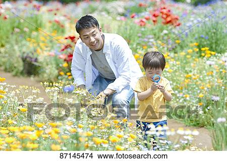 Japanese family in a city park View Large Photo Image Picture - Japanese family in a city park. Fotosearch