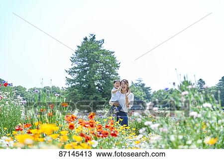 Japanese family in a city park View Large Photo Image Stock Image - Japanese family in a city park. Fotosearch