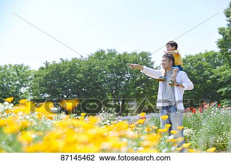 Japanese family in a city park View Large Photo Image Stock Image - Japanese family in a city park. Fotosearch