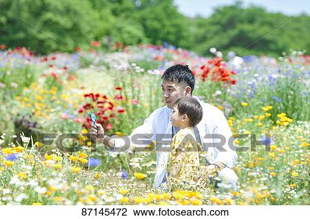 Japanese family in a city park View Large Photo Image Stock Image - Japanese family in a city park. Fotosearch