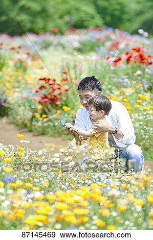 Stock Photo - Japanese family in a city park. Fotosearch