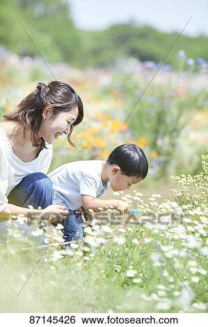 Japanese family in a city park View Large Photo Image Stock Photograph - Japanese family in a city park. Fotosearch