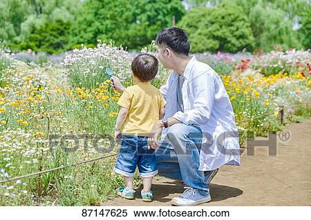 Japanese family in a city park View Large Photo Image Stock Photography - Japanese family in a city park. Fotosearch