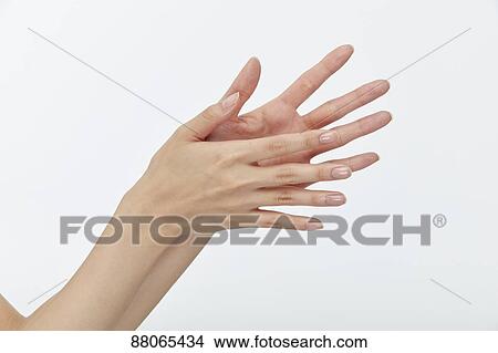 Japanese model hands View Large Photo Image Picture - Japanese model hands. Fotosearch