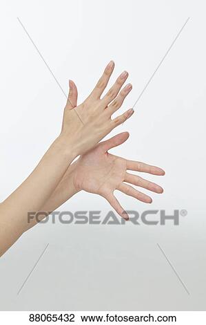 Stock Image - Japanese model hands. Fotosearch