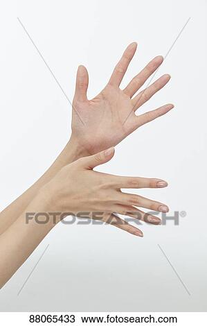 Japanese model hands View Large Photo Image Stock Image - Japanese model hands. Fotosearch