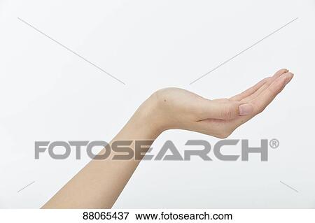 Japanese model hands View Large Photo Image Stock Photo - Japanese model hands. Fotosearch