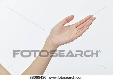Stock Photograph - Japanese model hands. Fotosearch