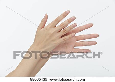 Japanese model hands View Large Photo Image Stock Photography - Japanese model hands. Fotosearch