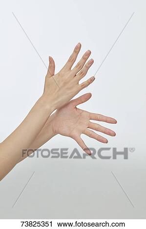 Japanese woman hands View Large Photo Image Stock Image - Japanese woman hands. Fotosearch
