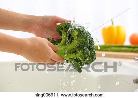 Japanese woman washing vegetables in the kitchen View Large Photo Image Stock Image - Japanese woman washing vegetables in the kitchen. Fotosearch