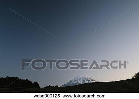 Stock Photography - Morning view of Mount Fuji and tea plantation on a clear day, Shizuoka Prefecture, Japan. Fotosearch