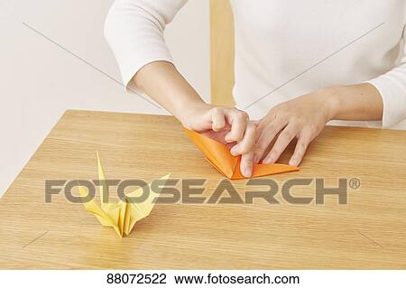 Stock Image - Origami. Fotosearch
