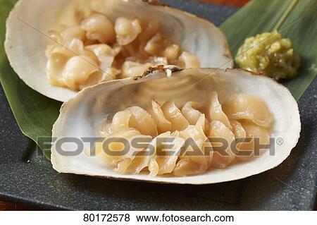 Stock Photo - Otter-Shell. Fotosearch