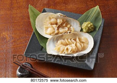 Otter-Shell View Large Photo Image Stock Photography - Otter-Shell. Fotosearch