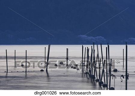 Stock Photograph - Poles in the water at Lake Biwa, Shiga Prefecture, Japan. Fotosearch