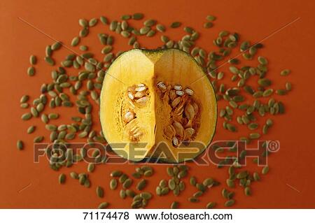 Stock Photo - Pumpkin. Fotosearch