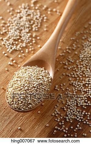 Stock Photo - Quinoa. Fotosearch